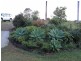 Malanda QLD 4885