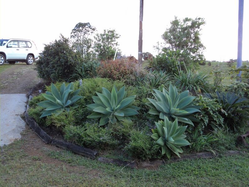 Malanda QLD 4885
