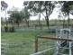 Dimbulah QLD 4872