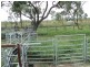 Dimbulah QLD 4872