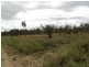 Dimbulah QLD 4872
