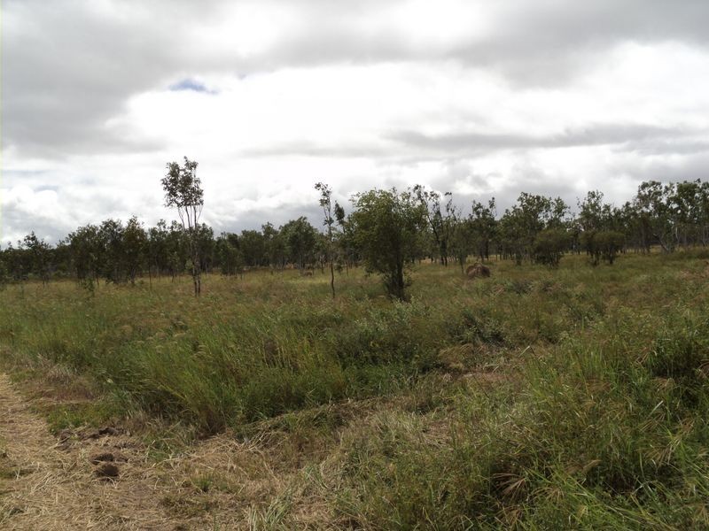 Dimbulah QLD 4872
