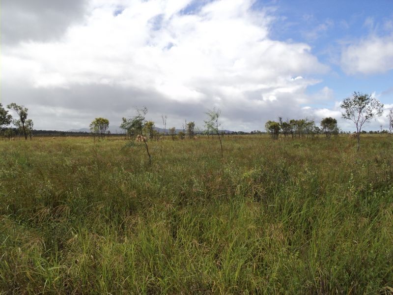 Dimbulah QLD 4872