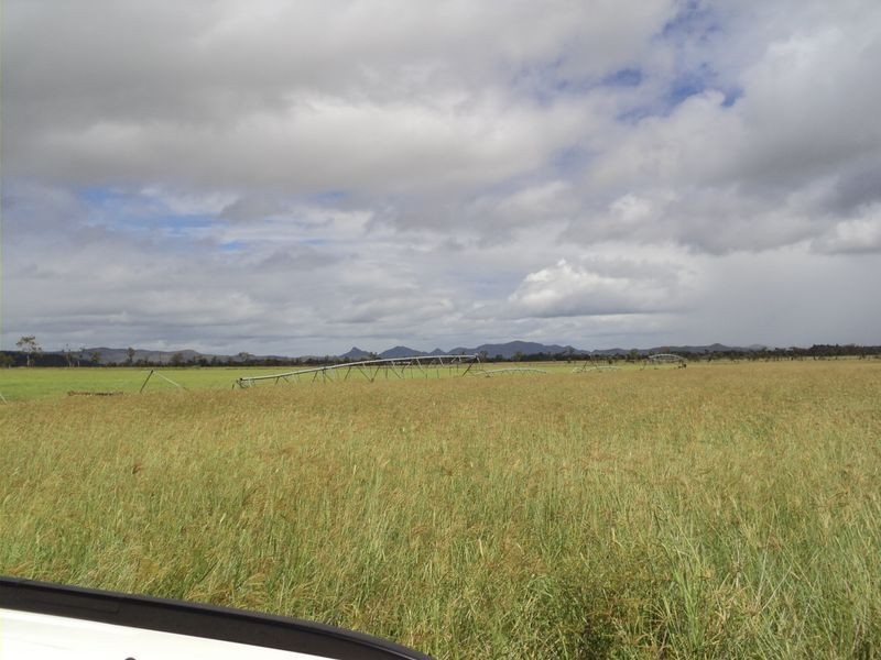 Dimbulah QLD 4872