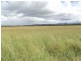 Dimbulah QLD 4872