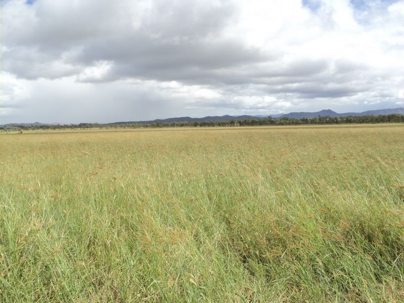 Dimbulah QLD 4872