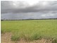 Dimbulah QLD 4872