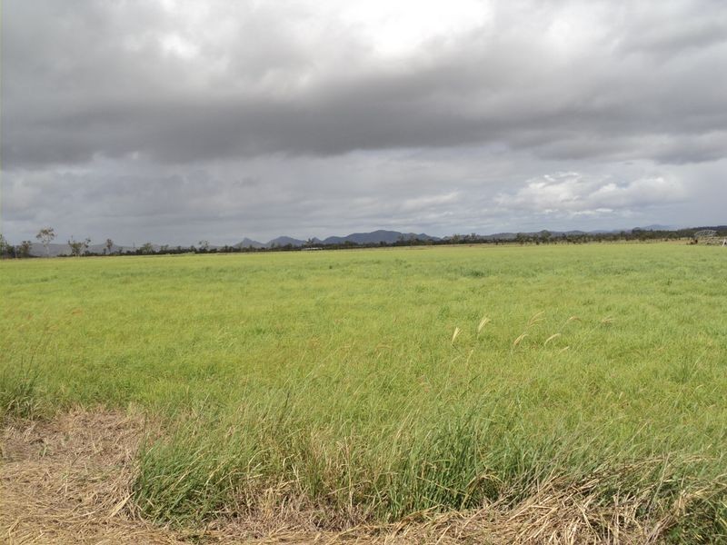 Dimbulah QLD 4872