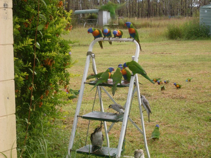 Ravenshoe QLD 4888