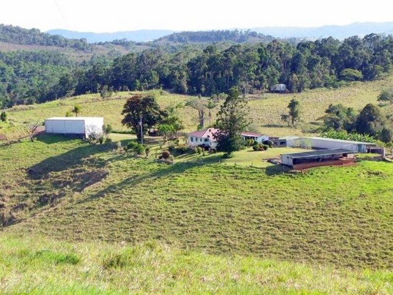 Tarzali QLD 4885