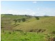 Tarzali QLD 4885