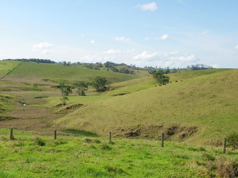 Tarzali QLD 4885