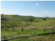 Tarzali QLD 4885