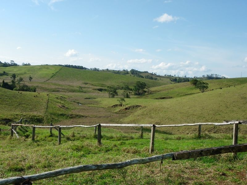 Tarzali QLD 4885