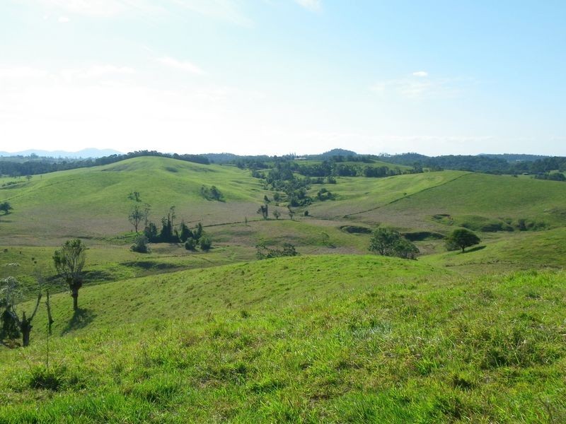 Tarzali QLD 4885