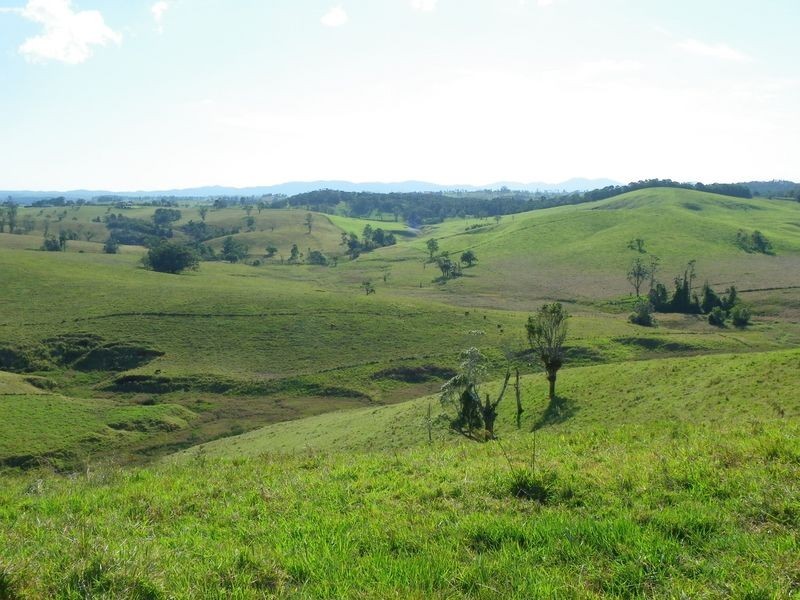 Tarzali QLD 4885