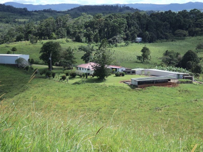 Tarzali QLD 4885