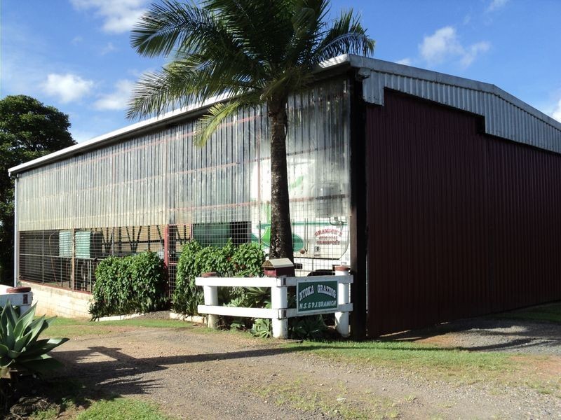 Tarzali QLD 4885