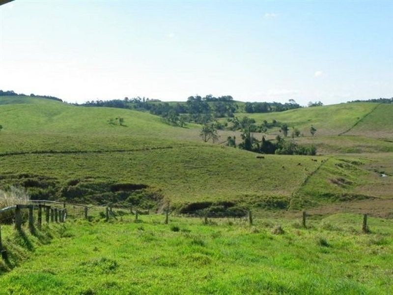 Tarzali QLD 4885