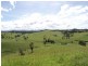 Tarzali QLD 4885