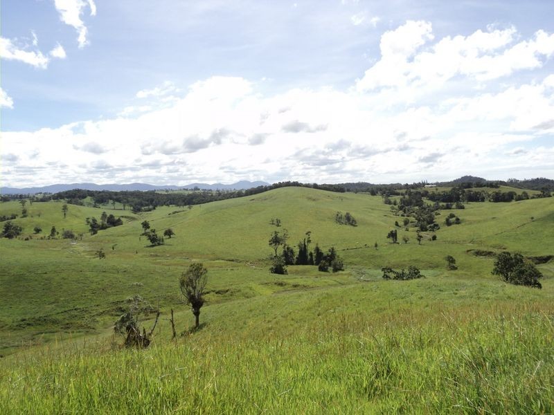 Tarzali QLD 4885