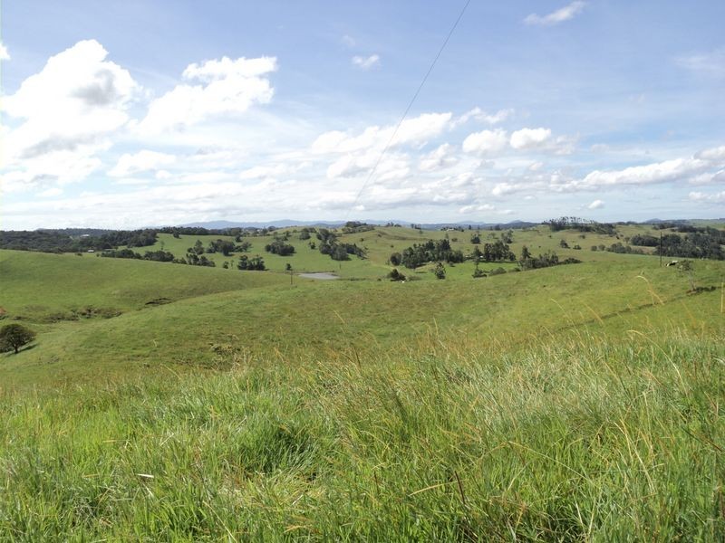 Tarzali QLD 4885