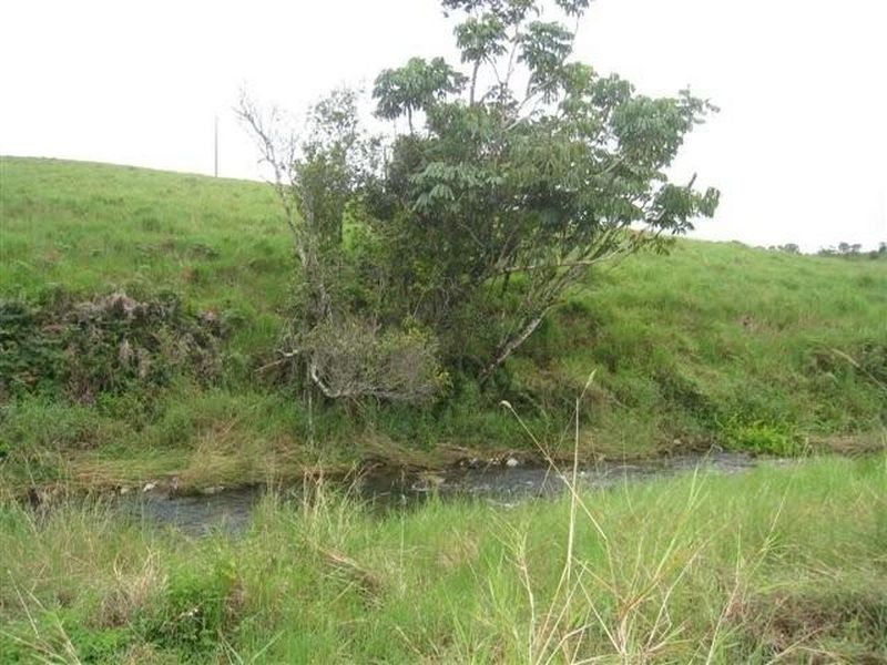 Tarzali QLD 4885