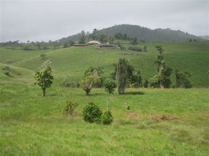 Tarzali QLD 4885