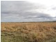 Biboohra QLD 4880