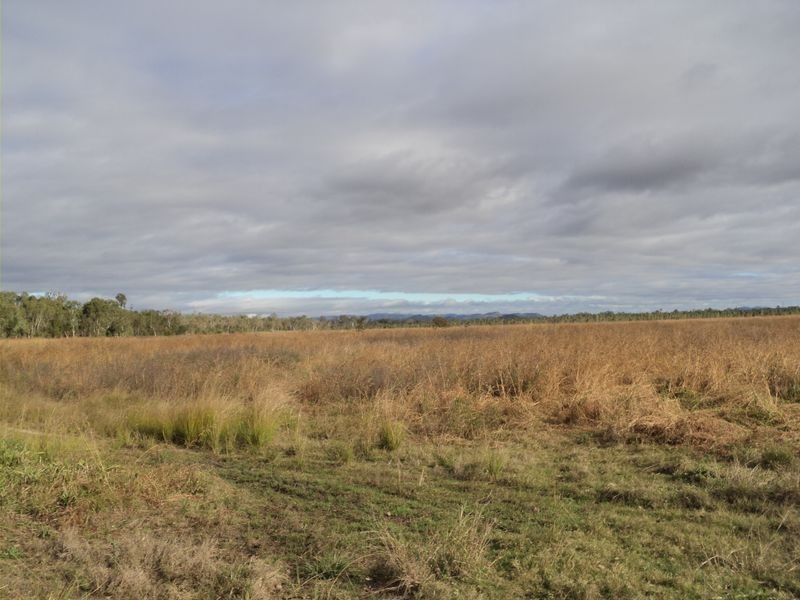 Biboohra QLD 4880