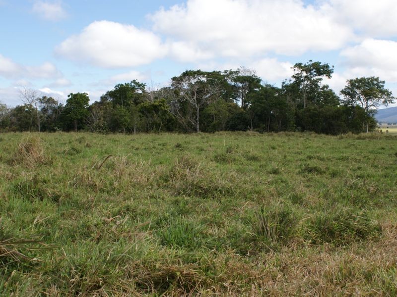 Atherton QLD 4883