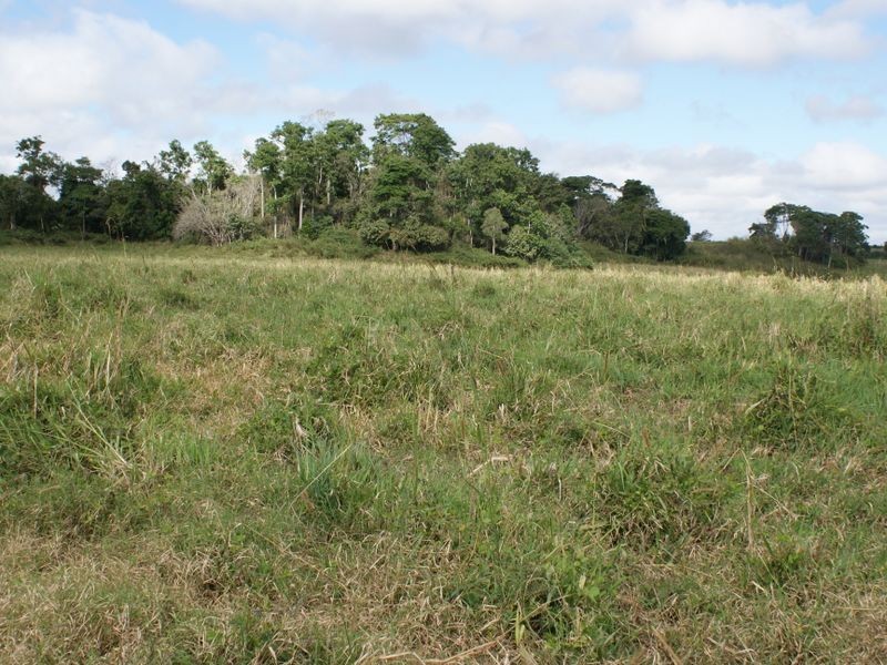 Atherton QLD 4883