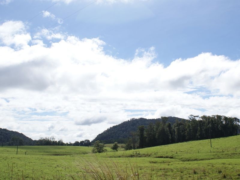 Millaa Millaa QLD 4886