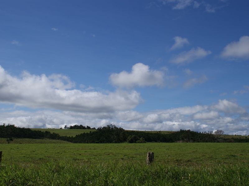 Millaa Millaa QLD 4886