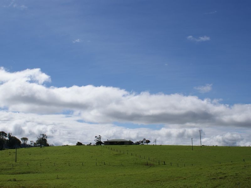 Millaa Millaa QLD 4886