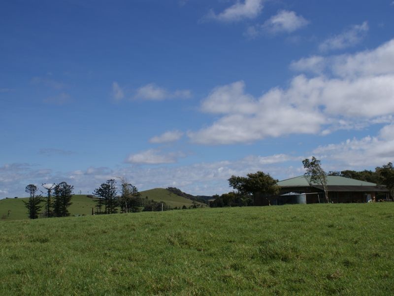 Millaa Millaa QLD 4886