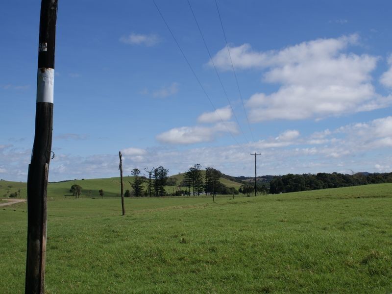 Millaa Millaa QLD 4886