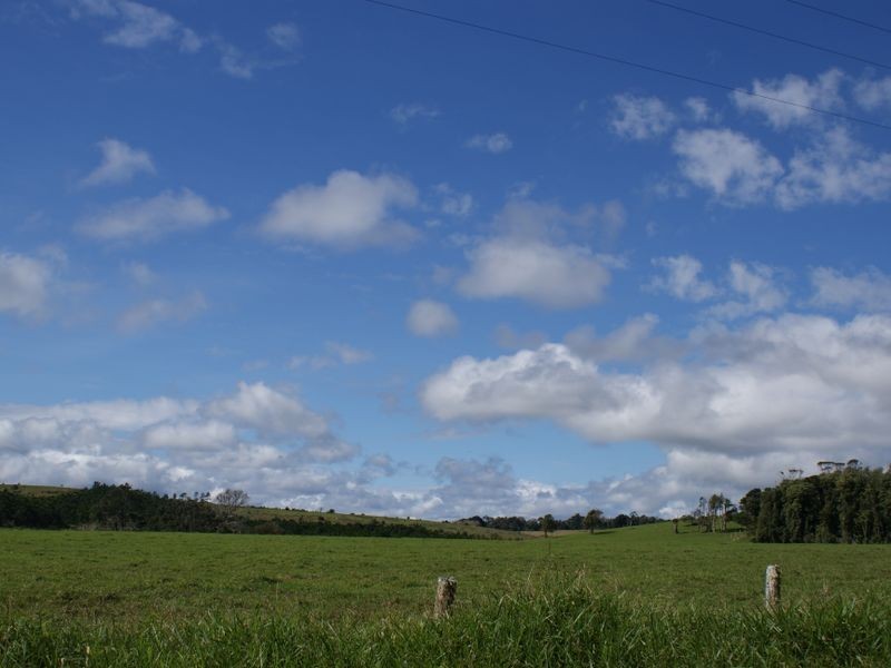 Millaa Millaa QLD 4886