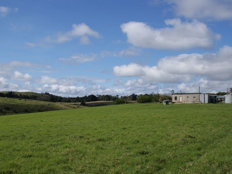 Millaa Millaa QLD 4886