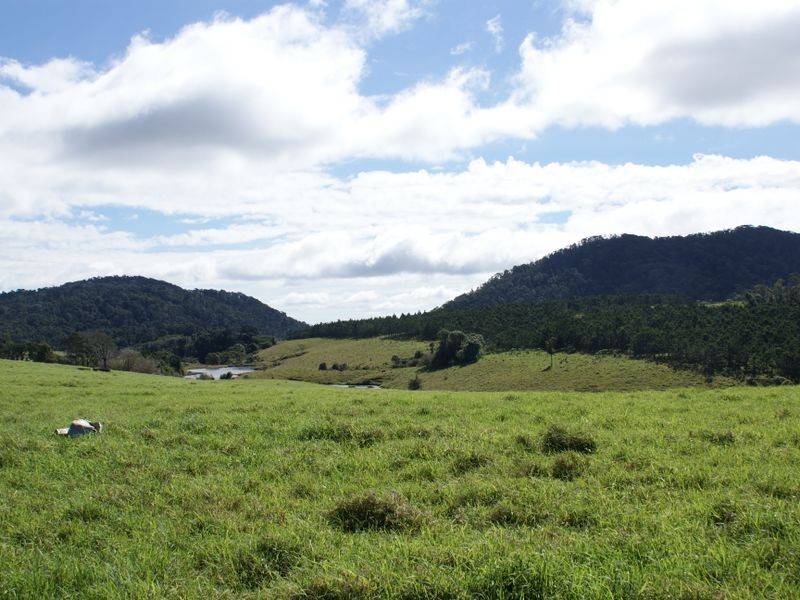 Millaa Millaa QLD 4886
