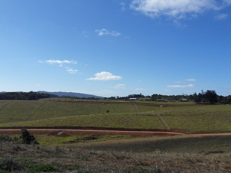 Upper Barron QLD 4883