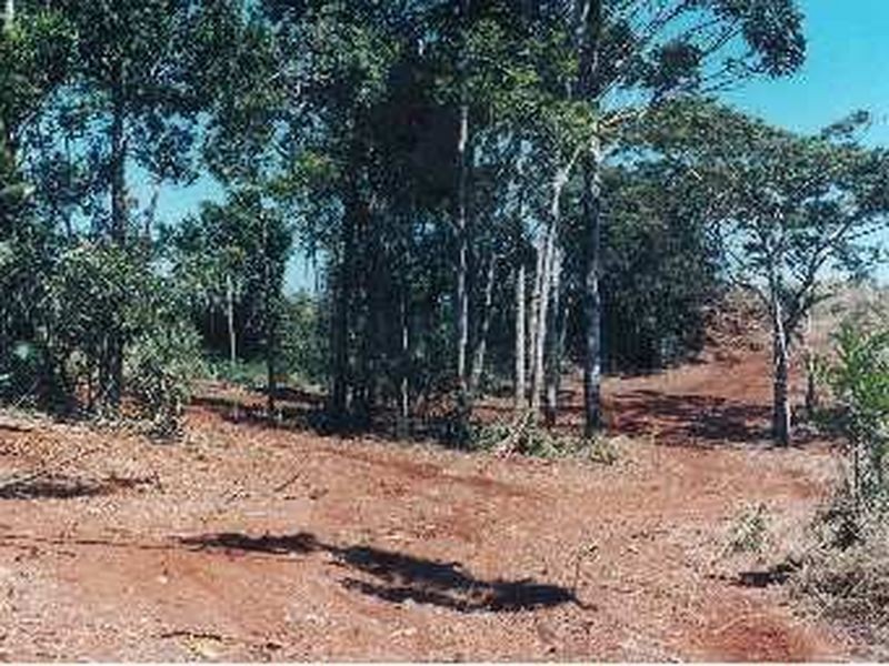 155 Hosie Road, Malanda QLD 4885