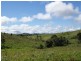 155 Hosie Road, Malanda QLD 4885