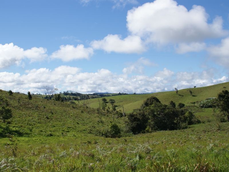 155 Hosie Road, Malanda QLD 4885