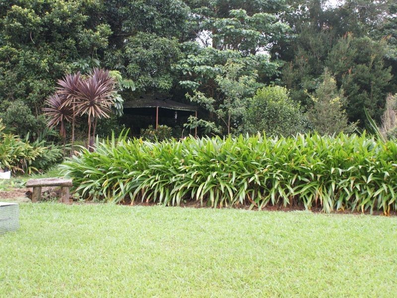Tarzali QLD 4885