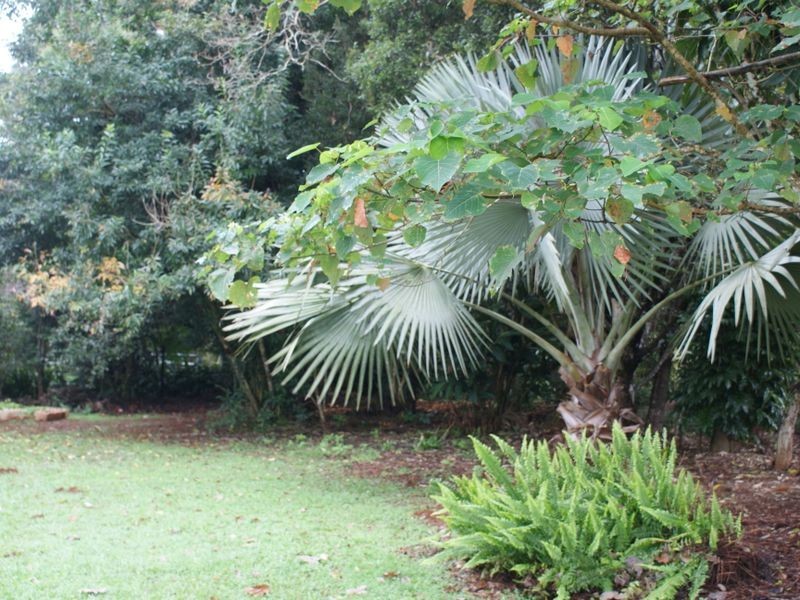 Tarzali QLD 4885