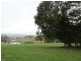 Tarzali QLD 4885