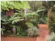 Tarzali QLD 4885