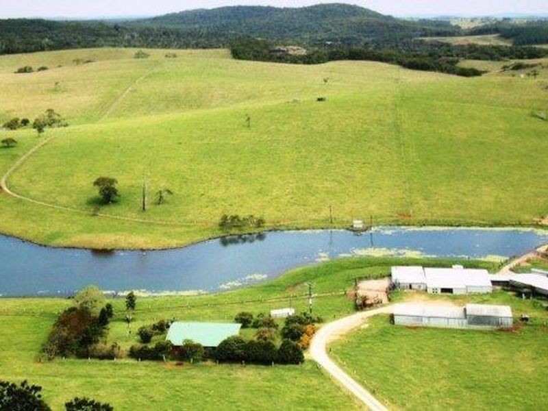 Millaa Millaa QLD 4886