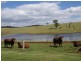 Millaa Millaa QLD 4886